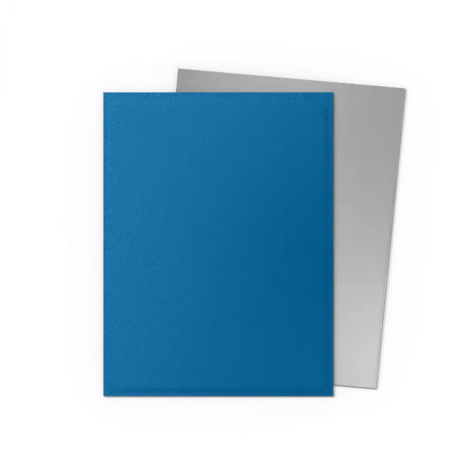 Dragon Shield Sleeves Standard Size Dual Matte - 100 Count