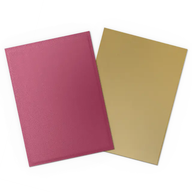 Dragon Shield Sleeves Standard Size Dual Matte - 100 Count
